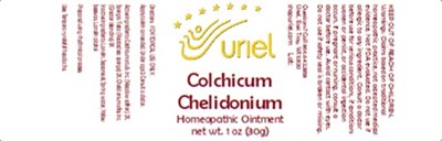 Colchicum Chelidonium Ointment. (Colchicum Chelidonium Ointment.)
